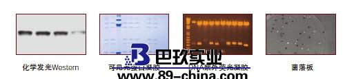 凝膠成像系統(tǒng)