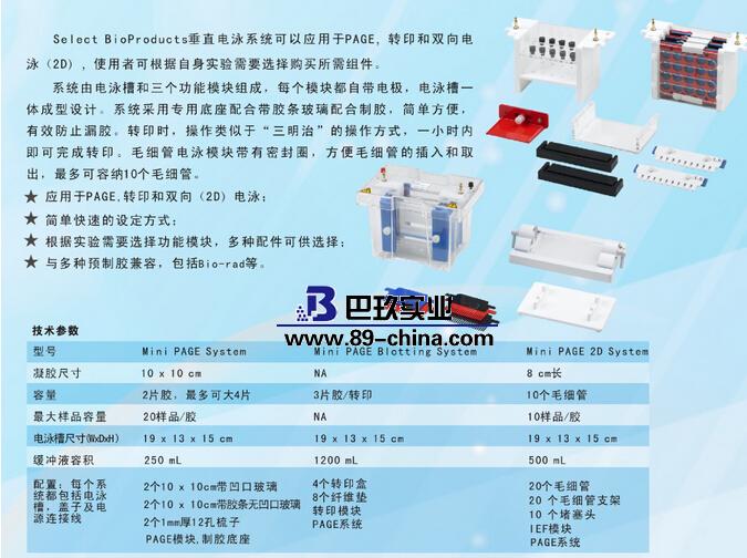 美國SBP垂直電泳系統(tǒng)