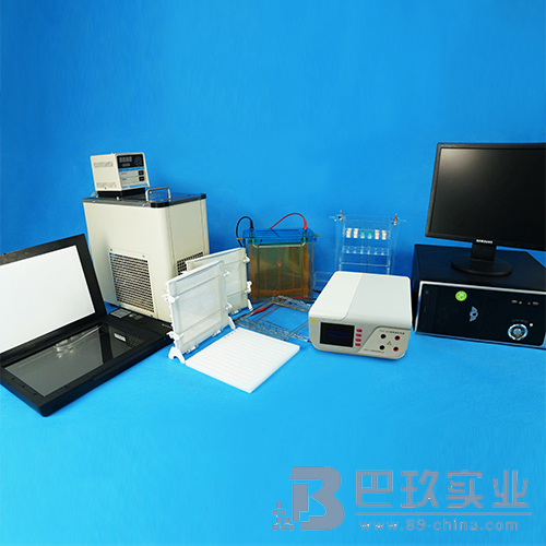 北京六一WD-9401A凝膠電泳掃描系統(tǒng)