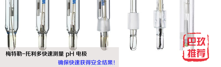 梅特勒托利多快速測(cè)量pH電極