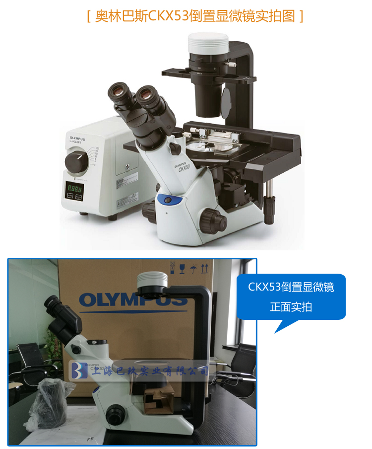 奧林巴斯倒置生物顯微鏡CKX53實(shí)拍圖