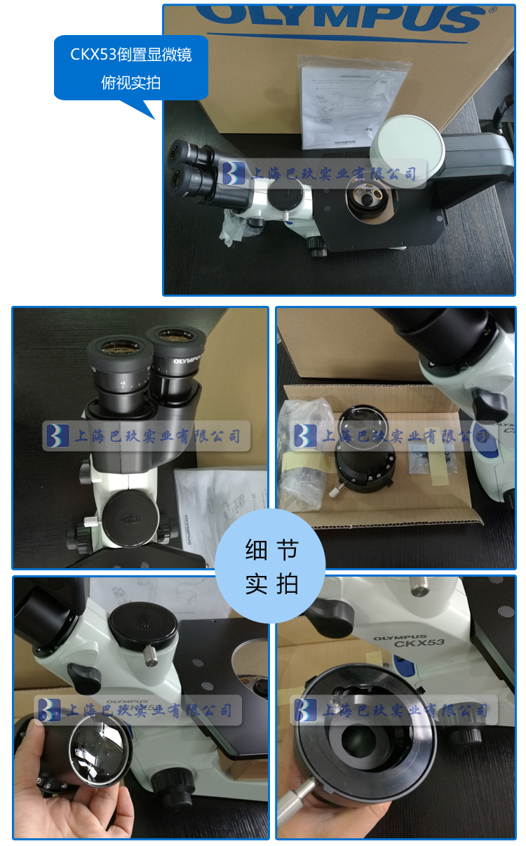 奧林巴斯倒置生物顯微鏡CKX53實(shí)拍展示