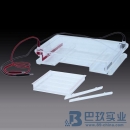 國(guó)產(chǎn)DYCP-31F瓊脂糖水平電泳儀(槽)(大號(hào))