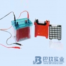 國(guó)產(chǎn)DYCZ-40D型迷你轉(zhuǎn)印電泳儀(槽)