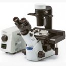奧林巴斯倒置生物顯微鏡CKX53 Olympus實(shí)驗(yàn)室常規(guī)倒置顯微鏡新品