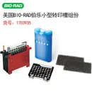 美國伯樂Bio-rad Mini Trans-Blot Module美國電泳轉(zhuǎn)印芯模塊1703935