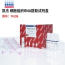 RNeasy Mini Kit Qiagen凱杰 74106細(xì)胞組織RNA提取試劑盒