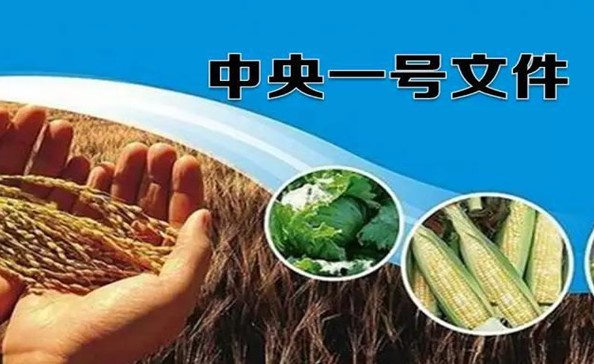 桌面2016年中央一號(hào)文件的發(fā)布