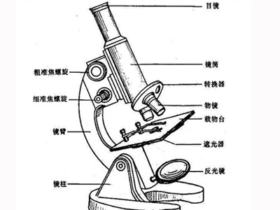 生物顯微鏡結(jié)構(gòu)圖