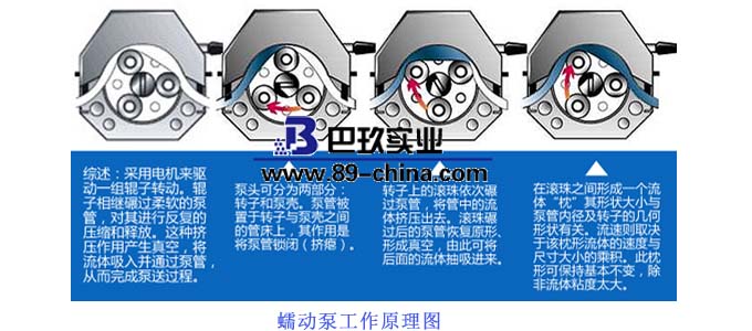 蠕動(dòng)泵原理