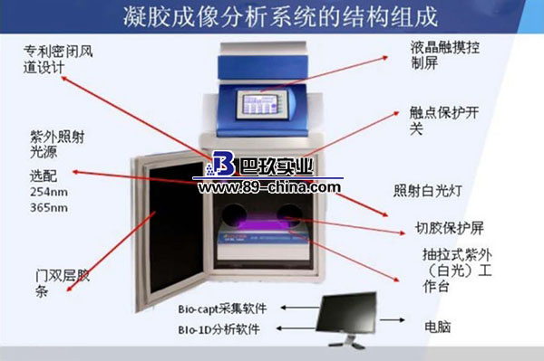 凝膠成像結(jié)構(gòu)組成圖