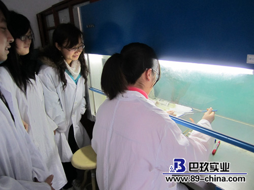 微生物培養(yǎng)箱